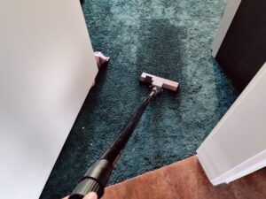 Lehmann Haddo Aschesauger auf hochflorigem Teppich