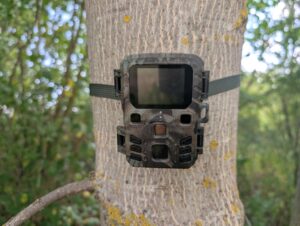 Wildkamera Mini 301 an Baum montiert